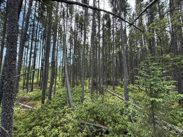 $37,000 | Tbd Tbd Arkola Road, Cotton, MN 55724