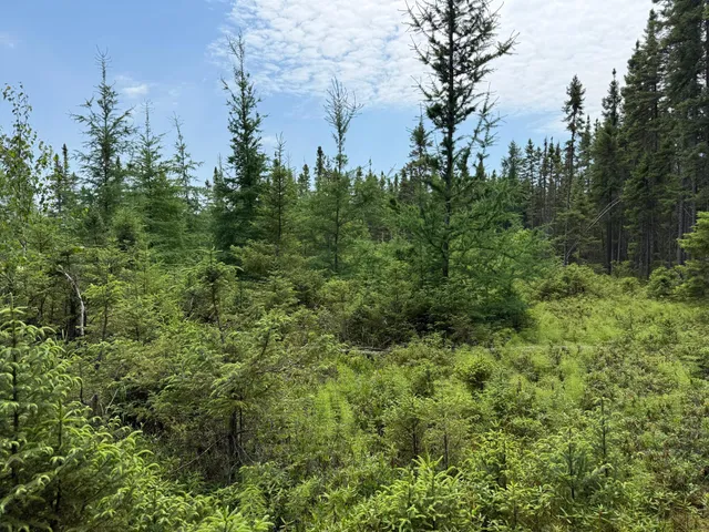 $37,000 | Tbd Tbd Arkola Road, Cotton, MN 55724