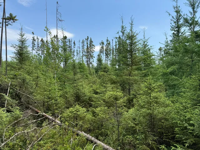 $37,000 | Tbd Tbd Arkola Road, Cotton, MN 55724