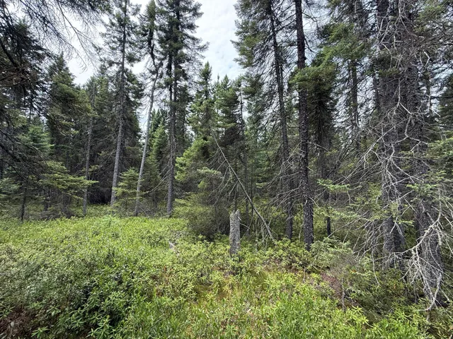 $37,000 | Tbd Tbd Arkola Road, Cotton, MN 55724