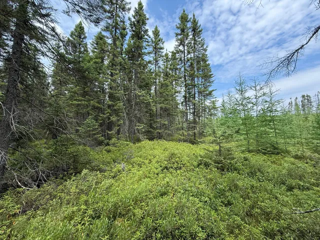 $37,000 | Tbd Tbd Arkola Road, Cotton, MN 55724