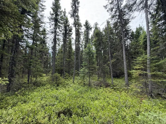 $37,000 | Tbd Tbd Arkola Road, Cotton, MN 55724