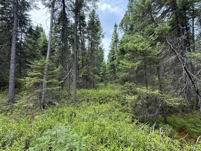 $37,000 | Tbd Tbd Arkola Road, Cotton, MN 55724