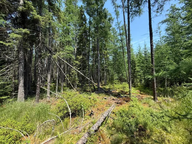 $37,000 | Tbd Tbd Arkola Road, Cotton, MN 55724