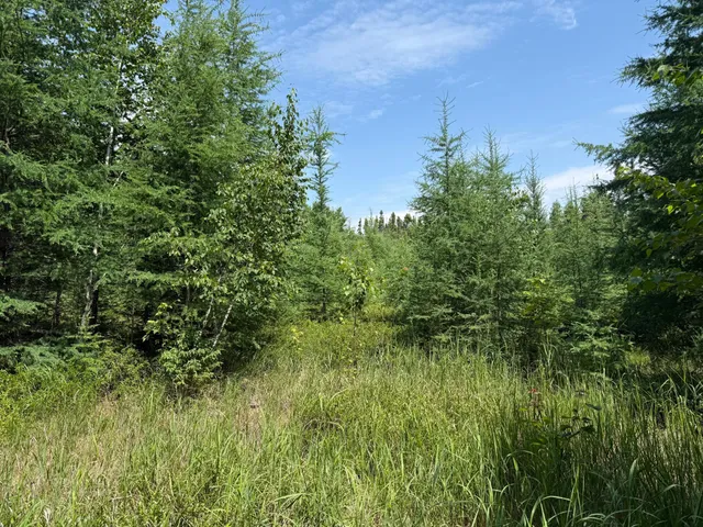 $37,000 | Tbd Tbd Arkola Road, Cotton, MN 55724