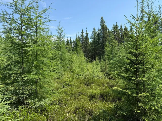 $37,000 | Tbd Tbd Arkola Road, Cotton, MN 55724