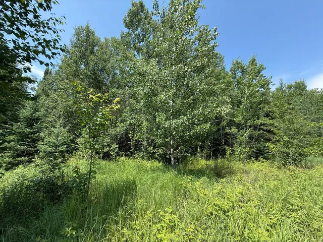$37,000 | Tbd Tbd Arkola Road, Cotton, MN 55724