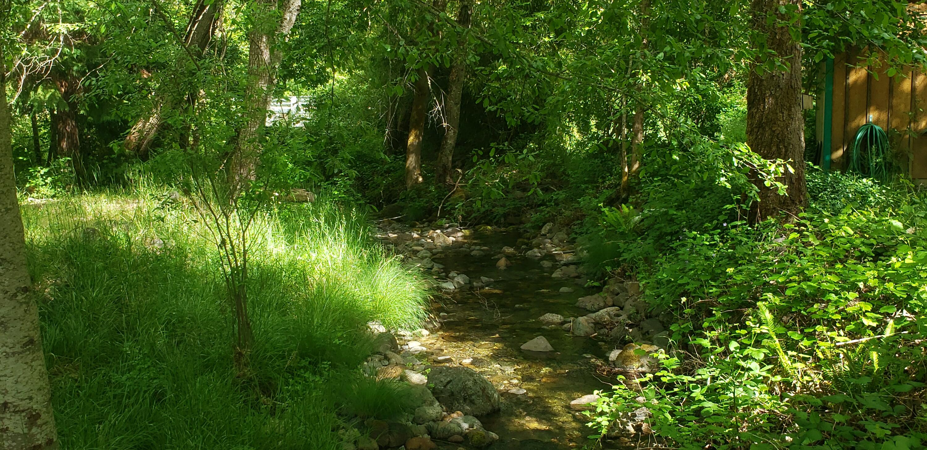 900 Slate Creek Road Wilderville, OR 97543 - Photo 4 of 32 20250522_162438