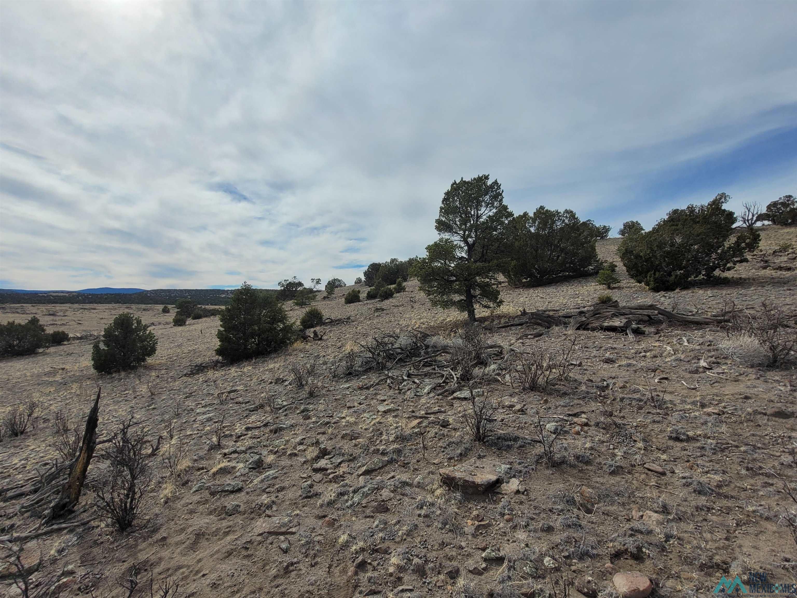 47 Cougar Run Datil, NM 87821 - Photo 10 of 38 Gallery Image 10