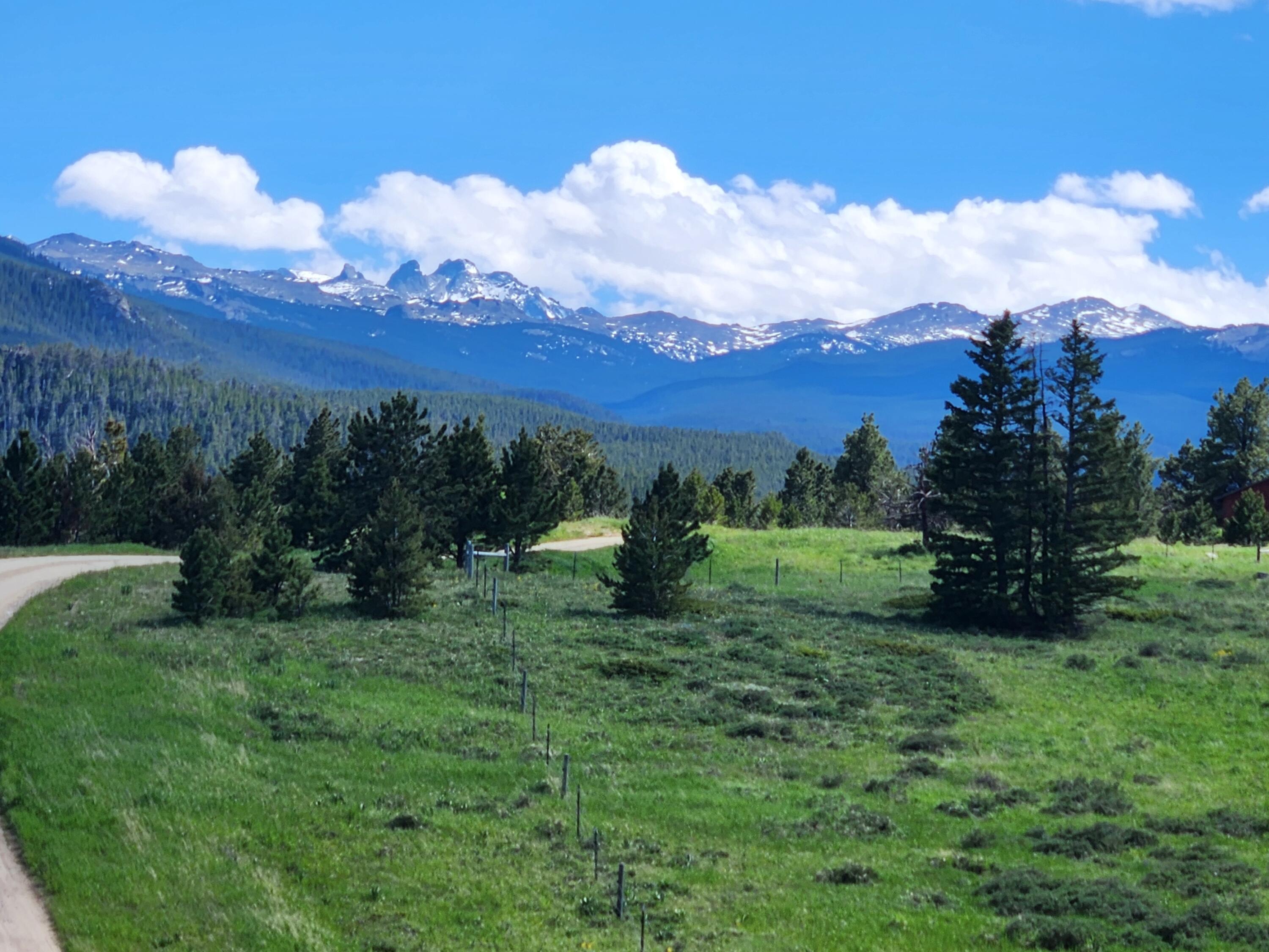12 Blacktooth Road Big Horn, WY 82833 - Photo 21 of 25 Main Road View
