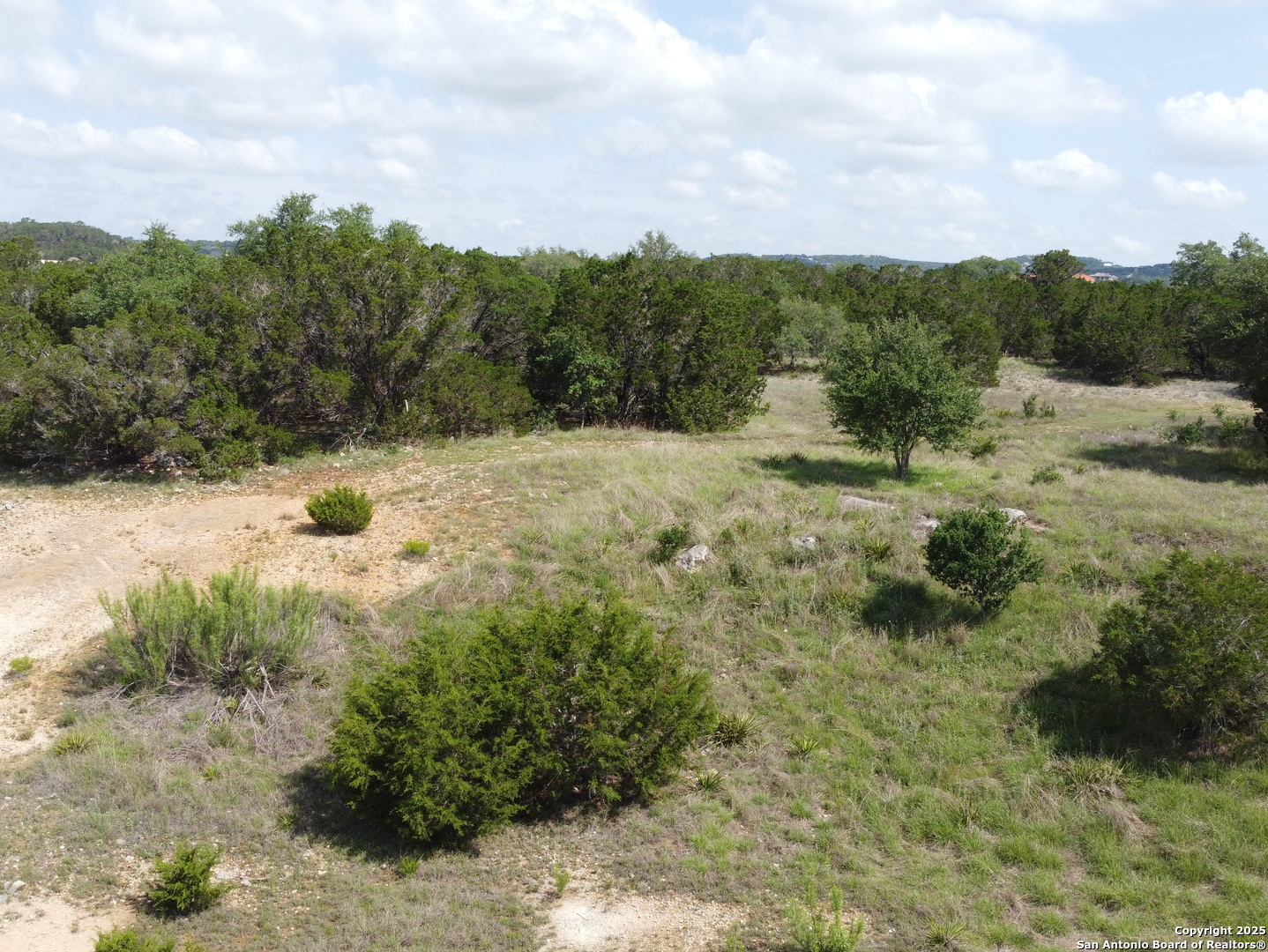 233 Rosinweed Drive Spring Branch, TX 78070 - Photo 6 of 17 a view of a yard with a tree