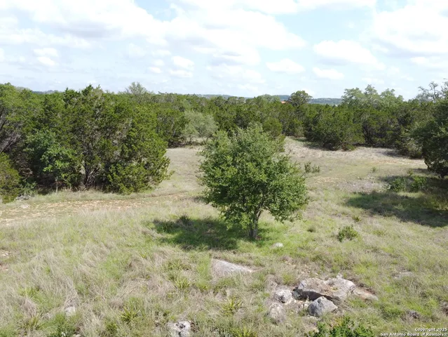 a view of a yard with a tree