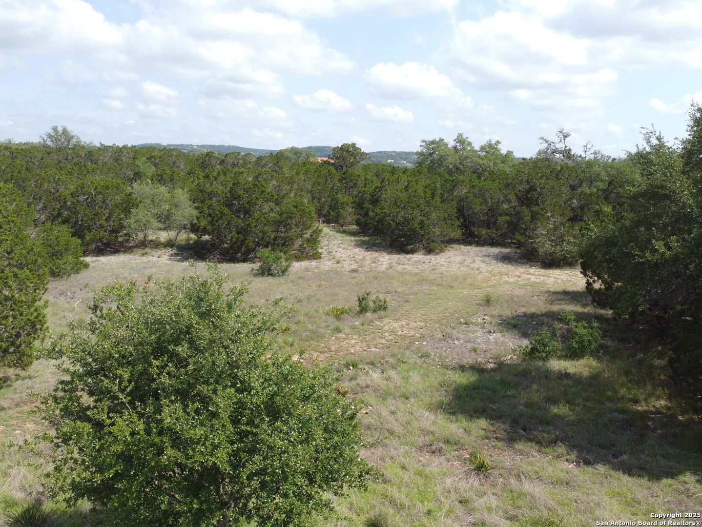 233 Rosinweed Drive Spring Branch, TX 78070 - Photo 8 of 17 a view of a mountain range with trees in the background