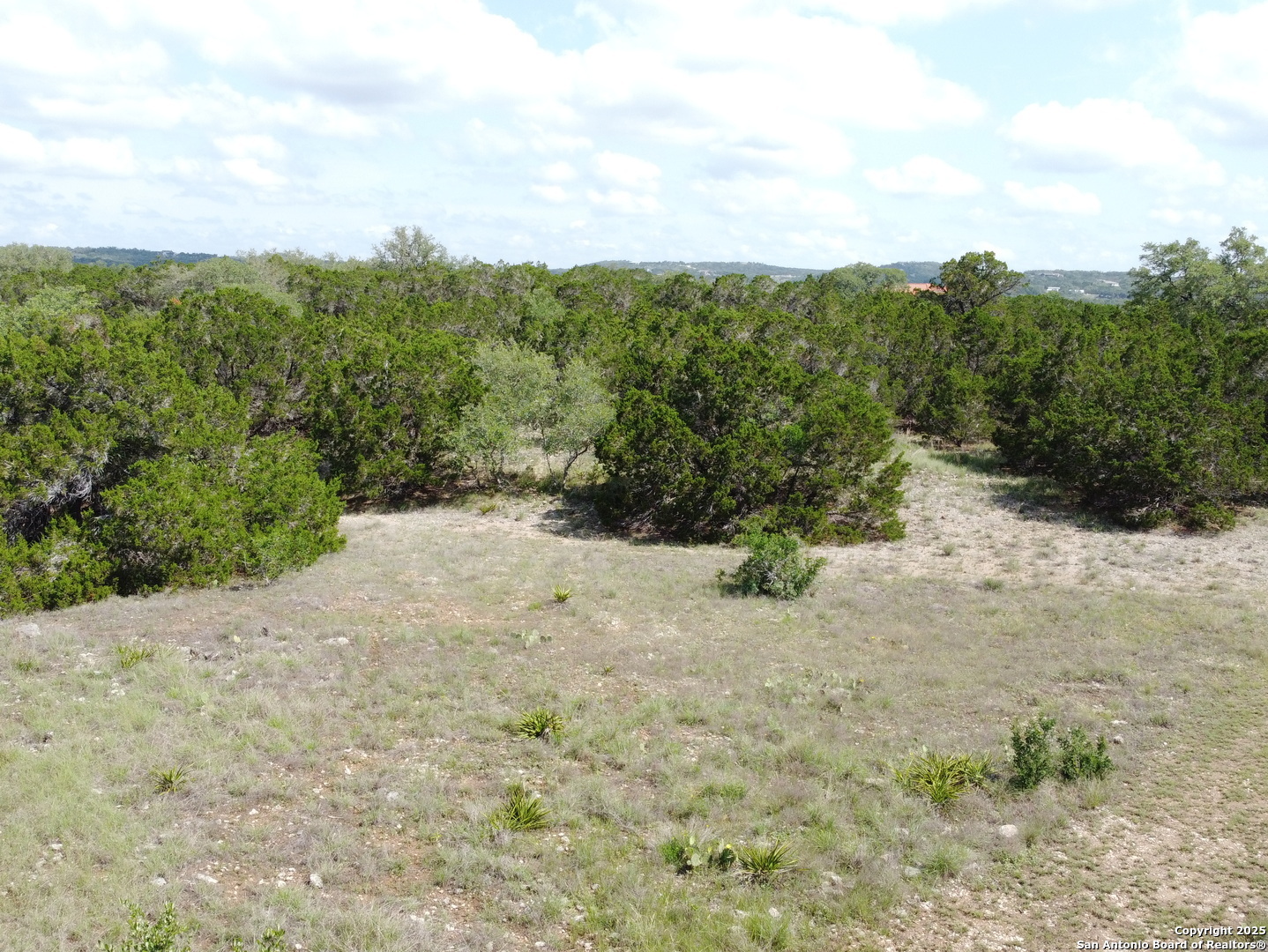 233 Rosinweed Drive Spring Branch, TX 78070 - Photo 9 of 17 a view of a dry yard with mountains in the background