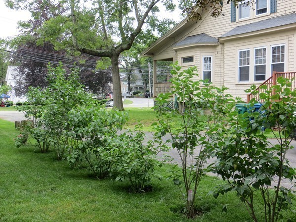 15-17 Treble Cove Road Billerica, MA 01862 - Photo 29 of 30