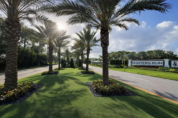 a view of a yard with palm trees