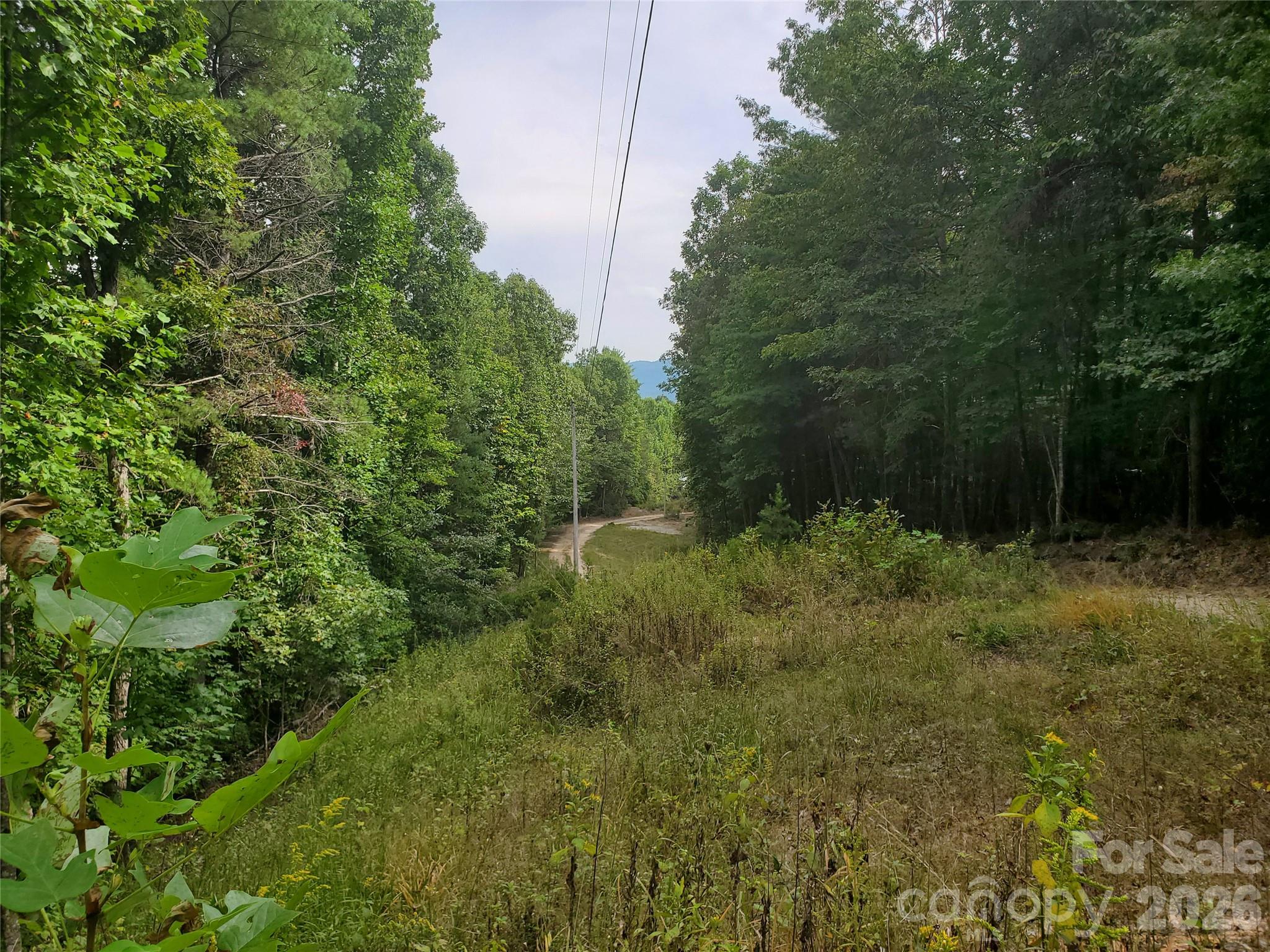 3024 Pearson Mountain Road Boomer, NC 28606 - Photo 1 of 39