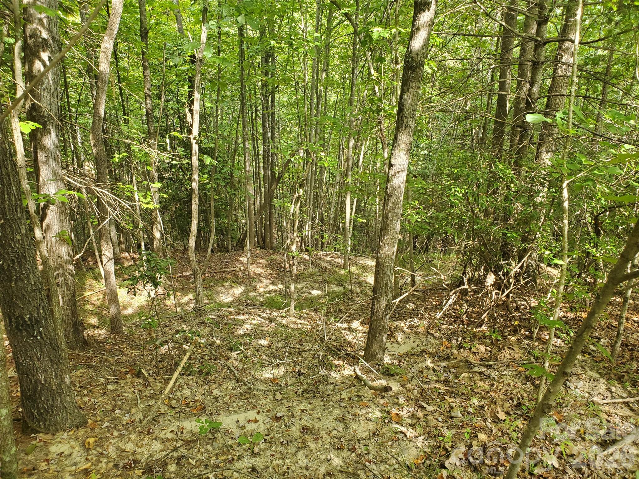 3024 Pearson Mountain Road Boomer, NC 28606 - Photo 19 of 39