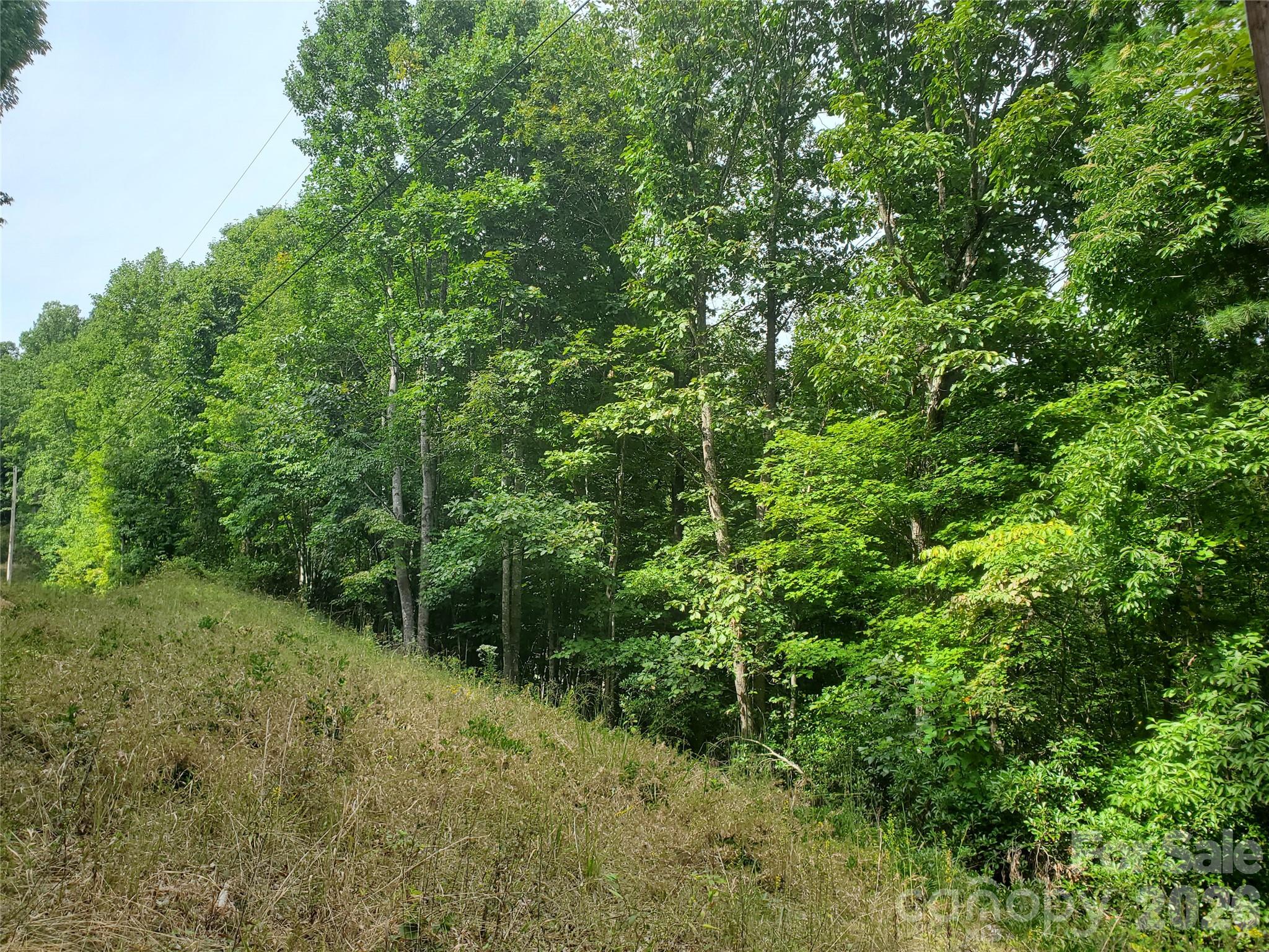 3024 Pearson Mountain Road Boomer, NC 28606 - Photo 20 of 39
