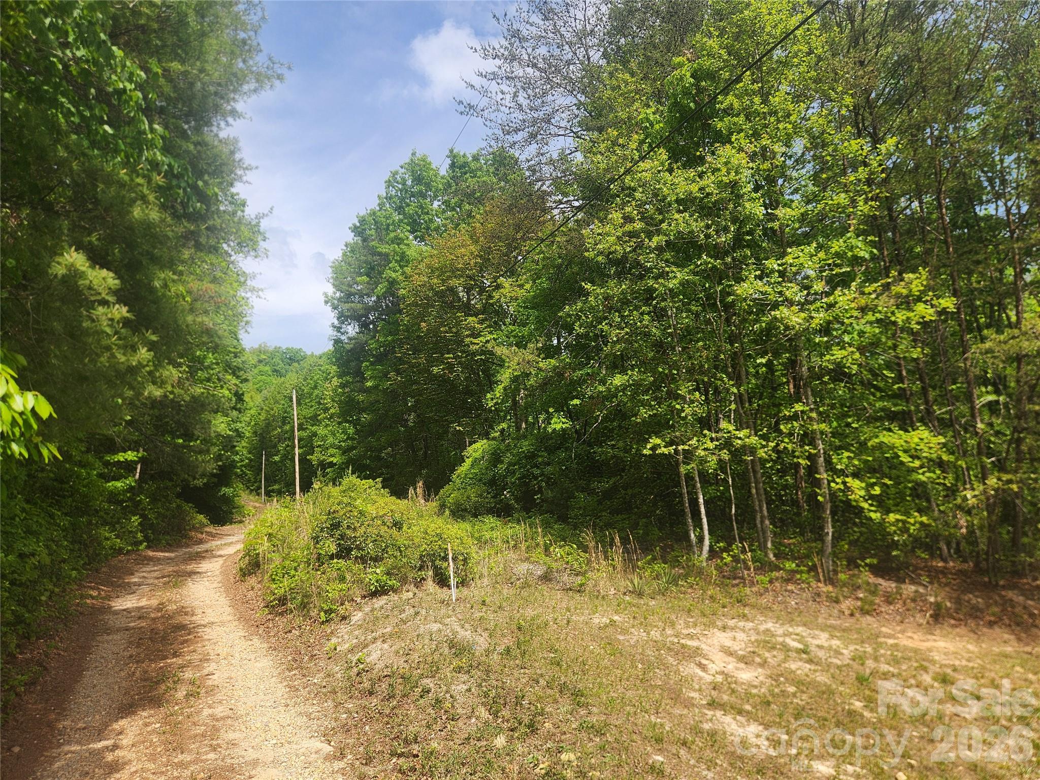 3024 Pearson Mountain Road Boomer, NC 28606 - Photo 2 of 39