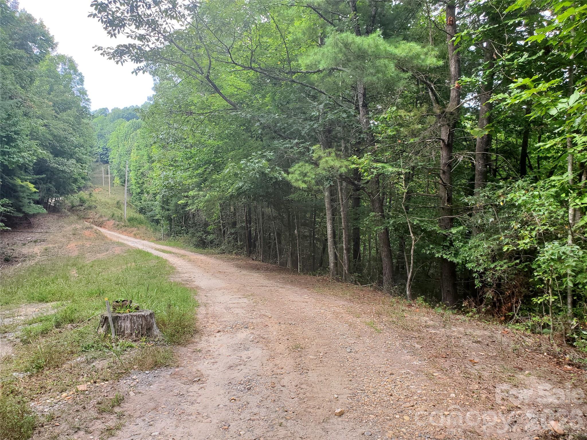 3024 Pearson Mountain Road Boomer, NC 28606 - Photo 21 of 39