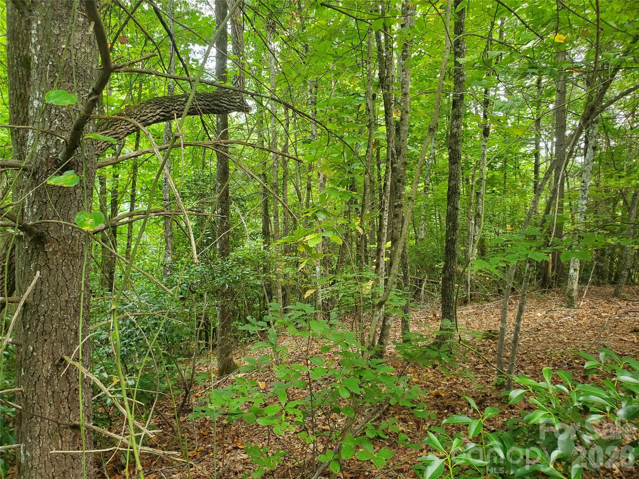 3024 Pearson Mountain Road Boomer, NC 28606 - Photo 24 of 39
