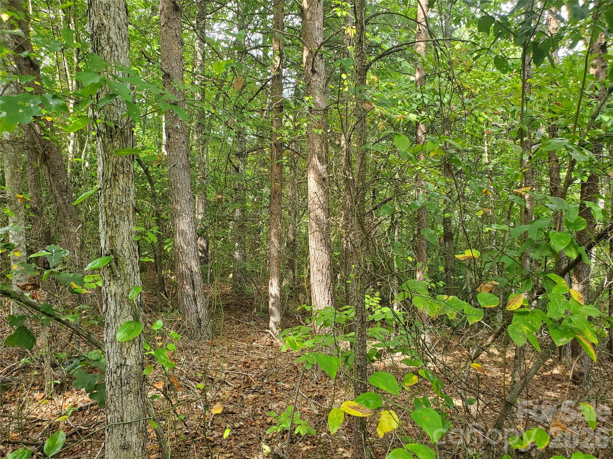 3024 Pearson Mountain Road Boomer, NC 28606 - Photo 25 of 39