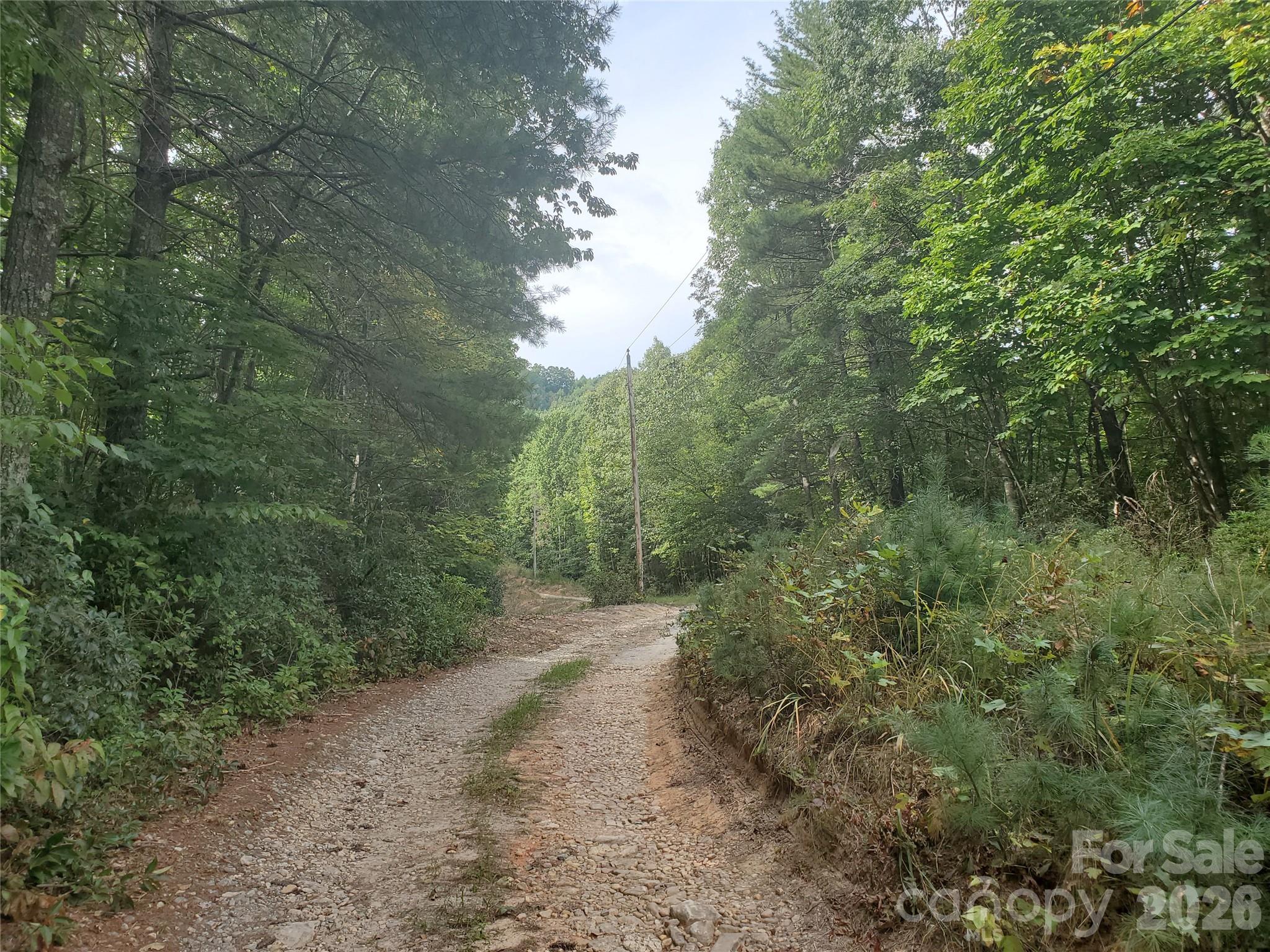 3024 Pearson Mountain Road Boomer, NC 28606 - Photo 26 of 39
