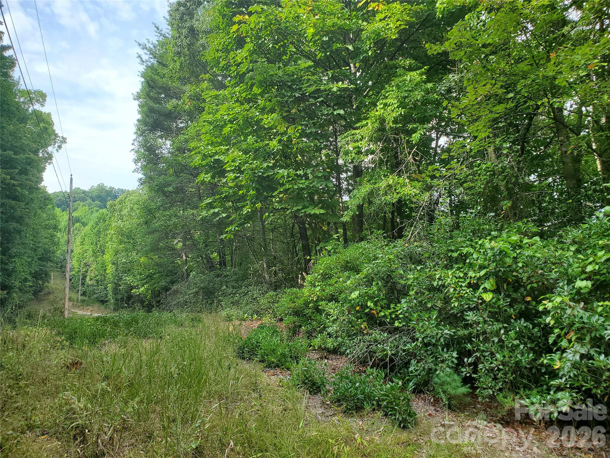 3024 Pearson Mountain Road Boomer, NC 28606 - Photo 27 of 39