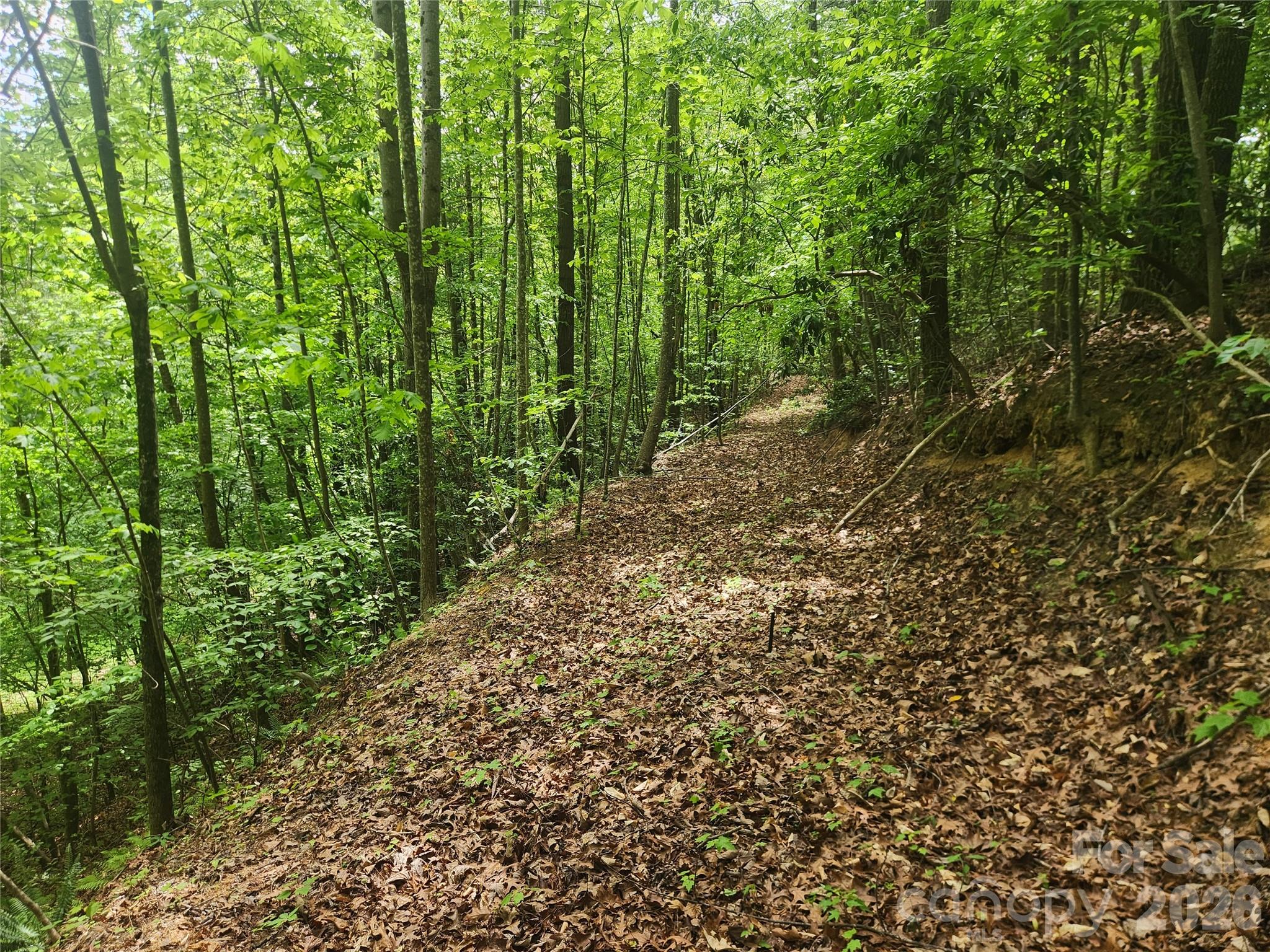 3024 Pearson Mountain Road Boomer, NC 28606 - Photo 3 of 39
