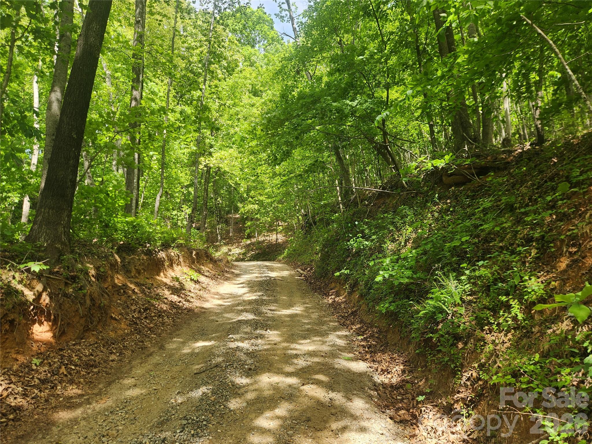 3024 Pearson Mountain Road Boomer, NC 28606 - Photo 31 of 39