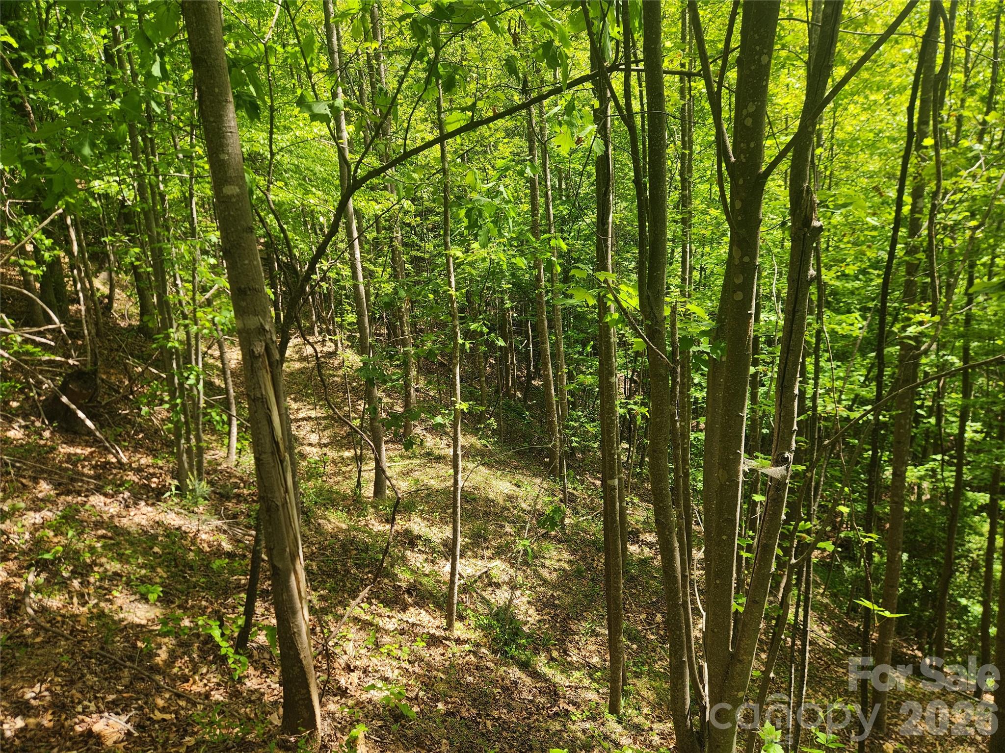 3024 Pearson Mountain Road Boomer, NC 28606 - Photo 34 of 39