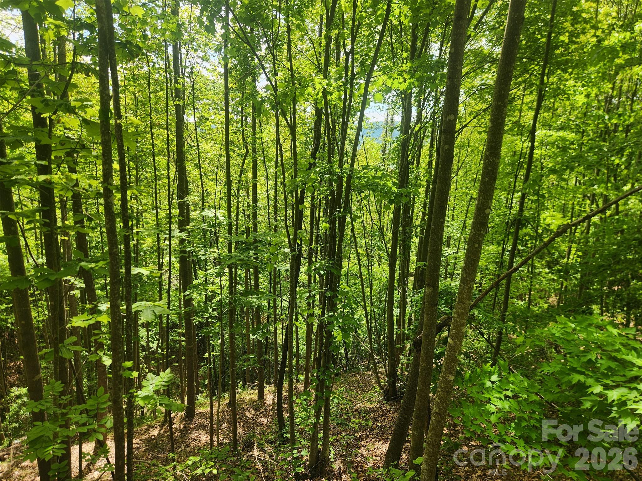 3024 Pearson Mountain Road Boomer, NC 28606 - Photo 35 of 39