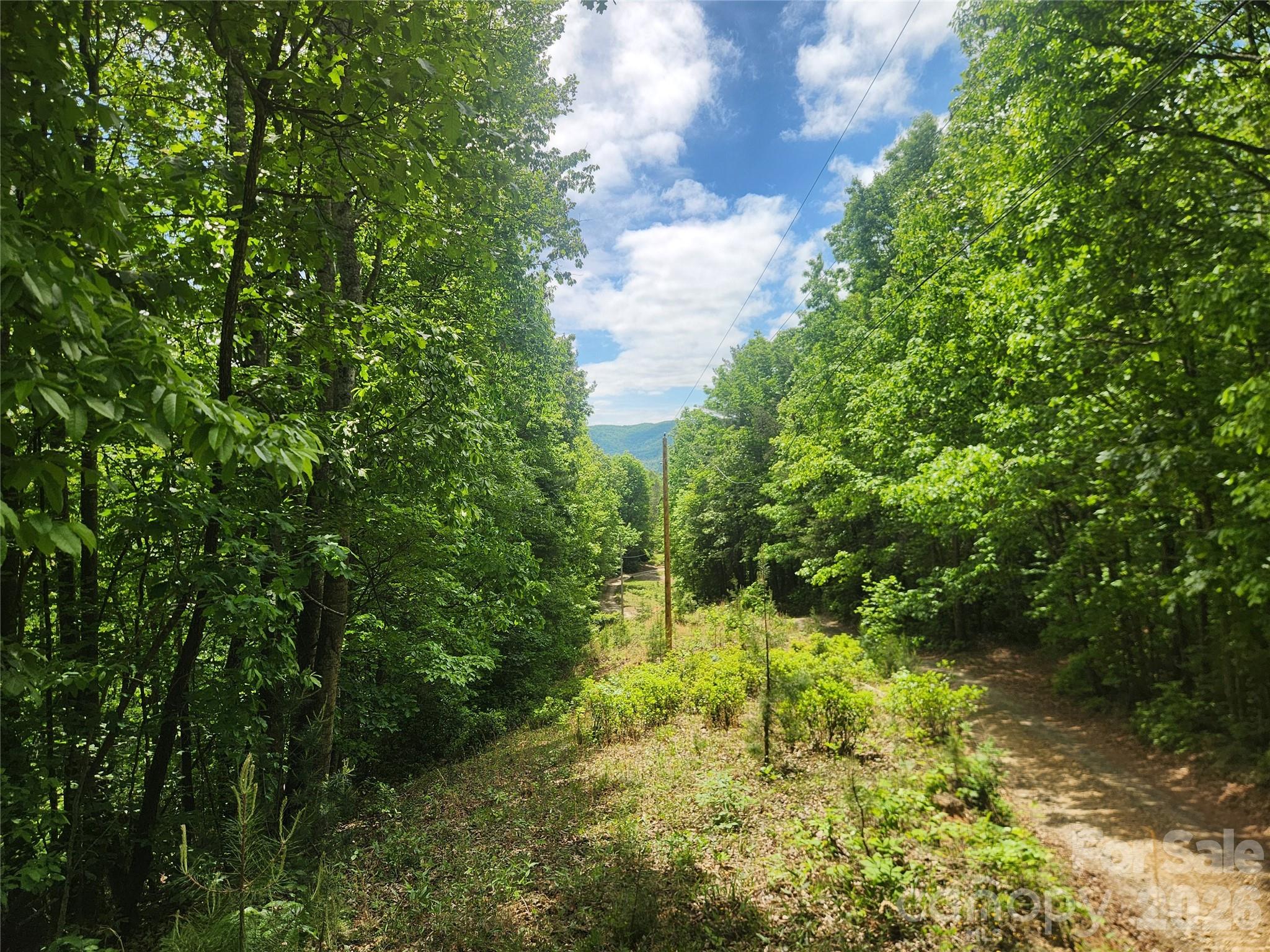 3024 Pearson Mountain Road Boomer, NC 28606 - Photo 36 of 39