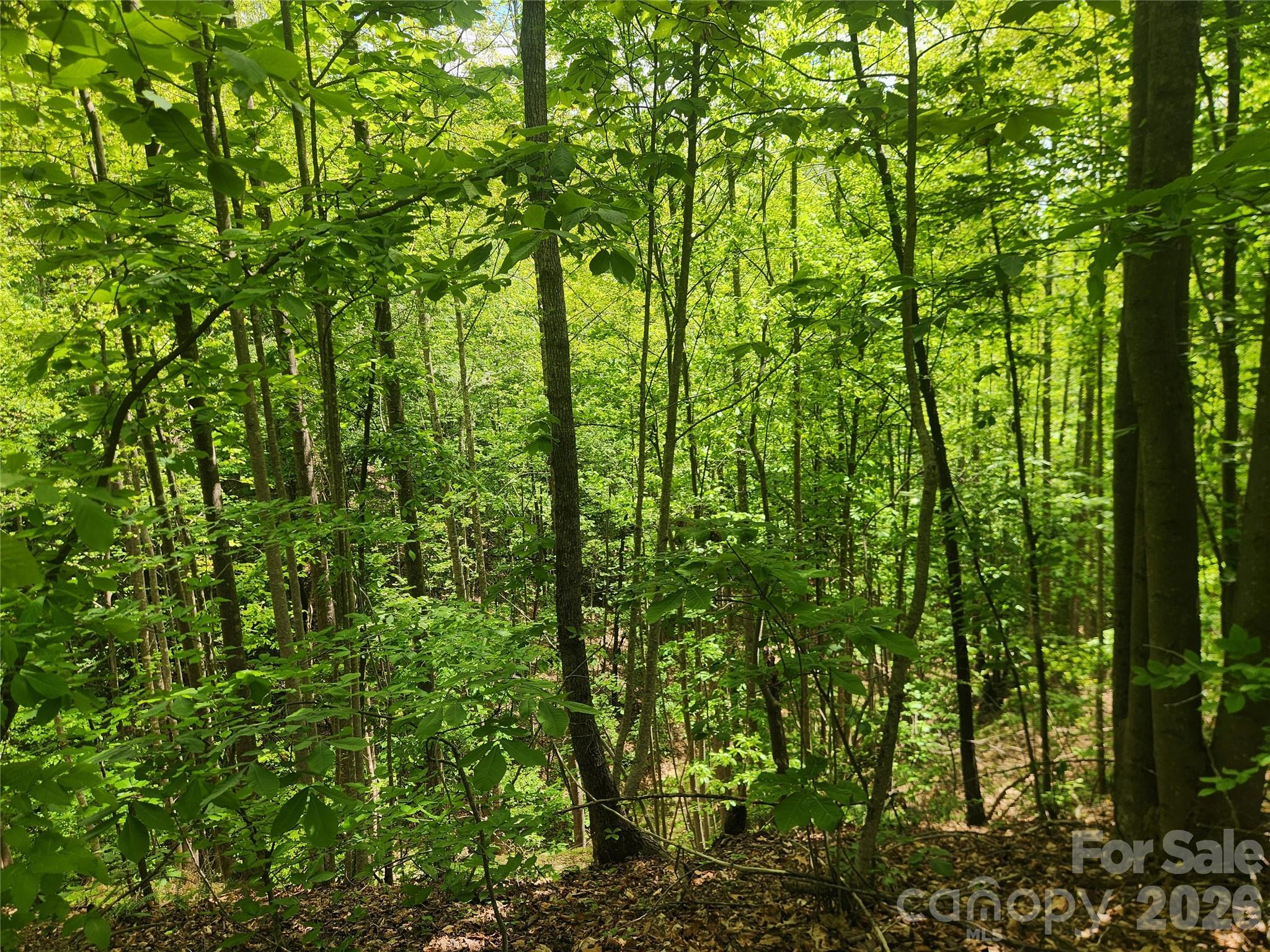 3024 Pearson Mountain Road Boomer, NC 28606 - Photo 37 of 39