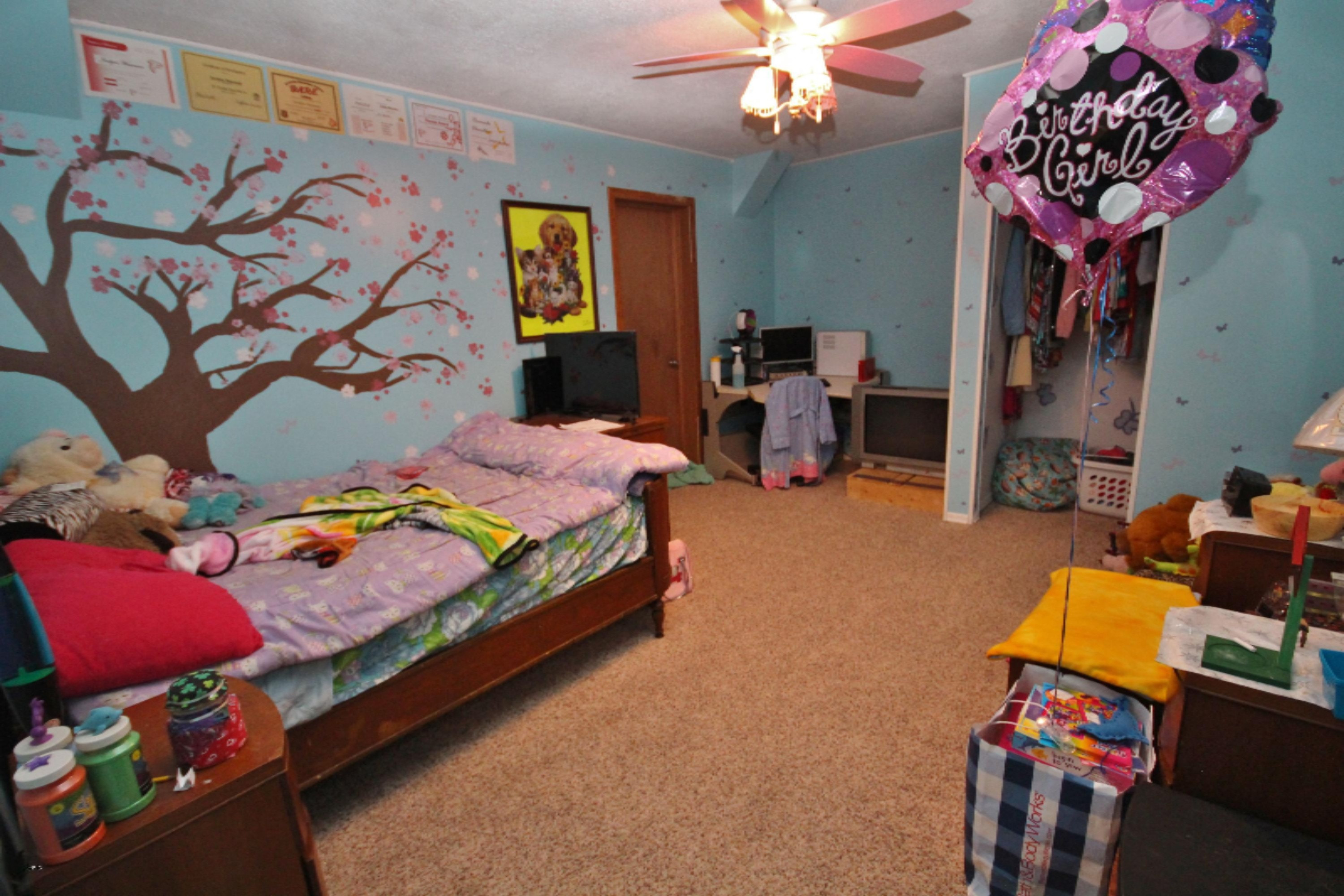 19272 Featherstone Road Constantine, MI 49042 - Photo 36 of 37 IMG_3685