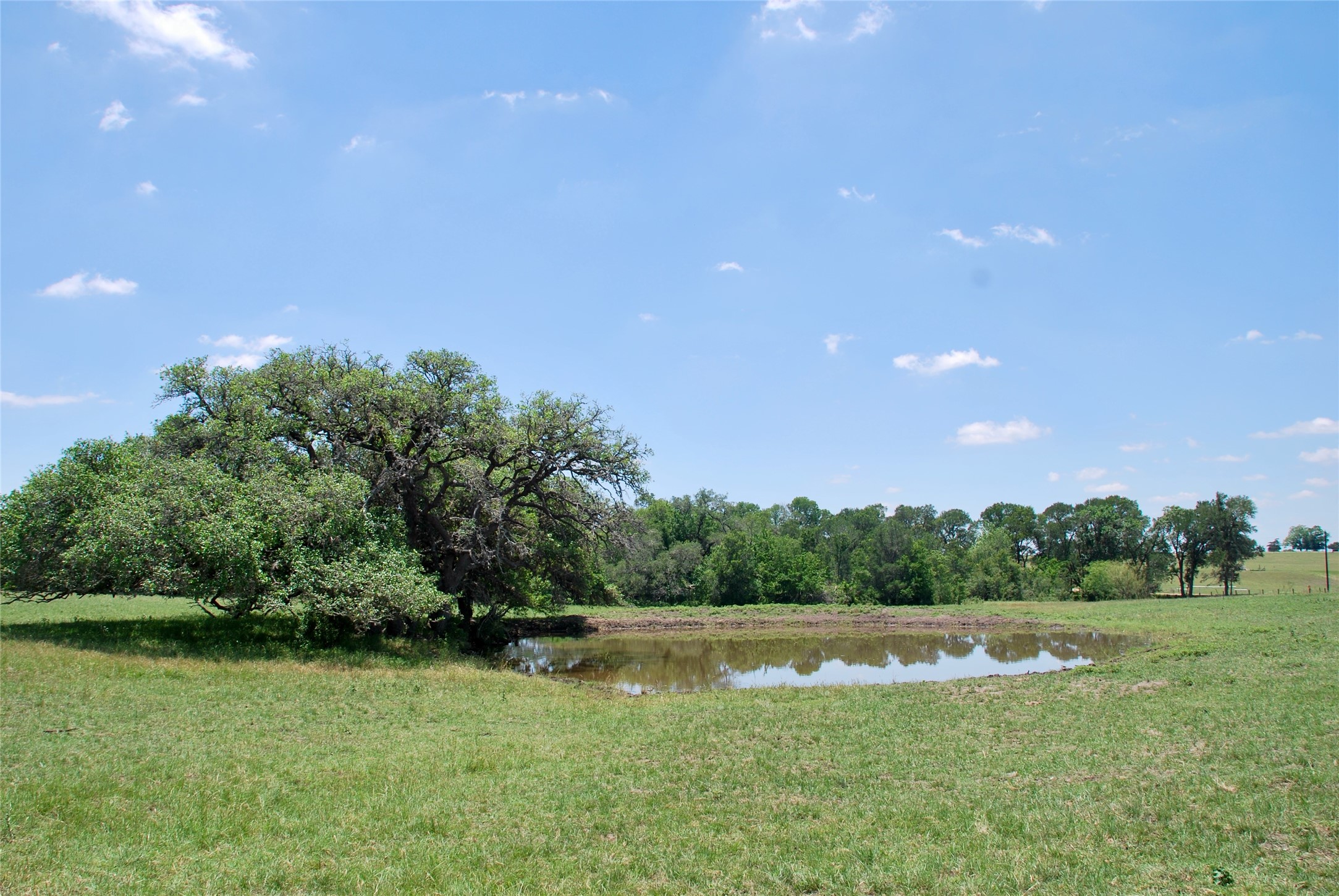 2170 Langdon Road Weimar, TX 78962 - Photo 2 of 31