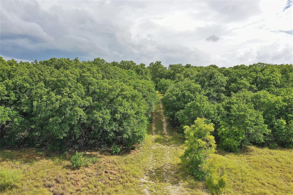 157-acres Nash Road Jacksboro, TX 76458 - Photo 21 of 40 Gallery Image 21