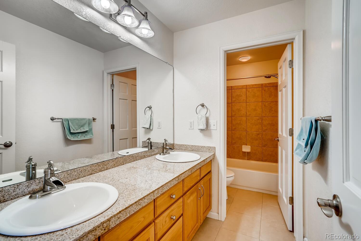 10516 Westcliff Way Highlands Ranch, CO 80130 - Photo 22 of 29