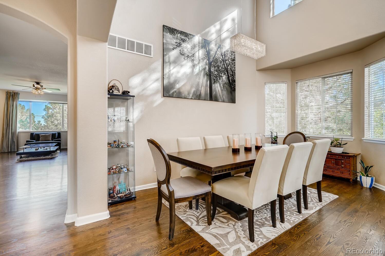 10516 Westcliff Way Highlands Ranch, CO 80130 - Photo 5 of 29