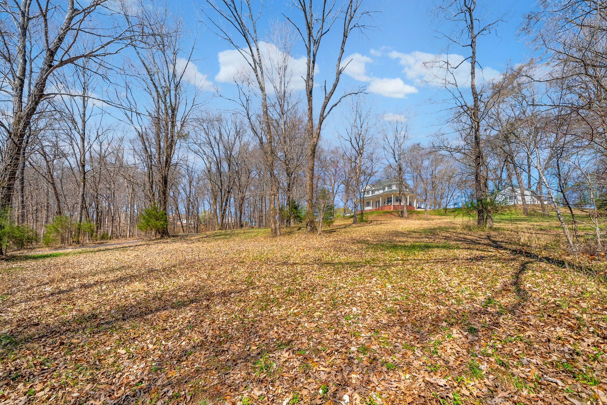 1941 Highway 76 Adams, TN 37010 - Photo 58 of 80