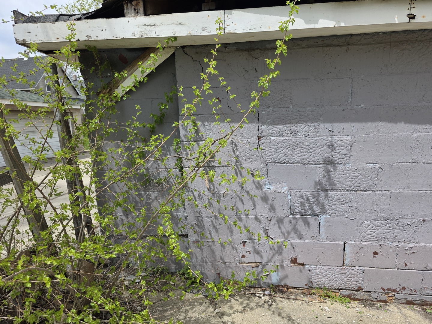 136 South 10th Avenue Maywood, IL 60153 - Photo 10 of 23