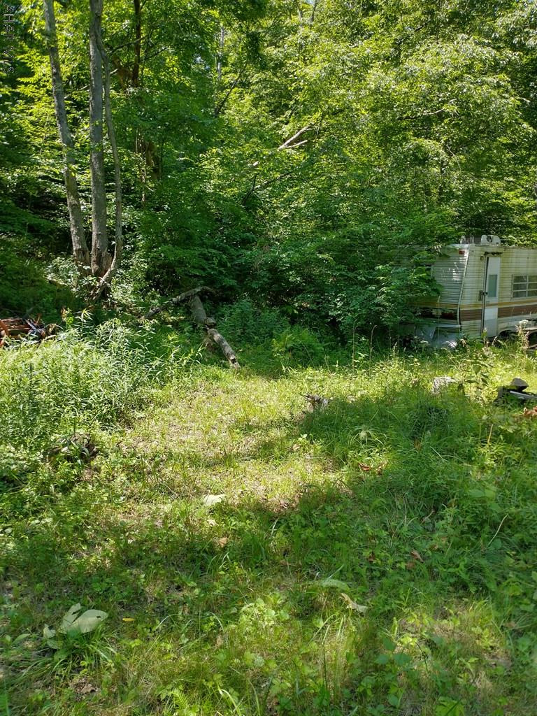 Off Smith Road Clearville, PA 15535 - Photo 29 of 47 a view of yard with green space
