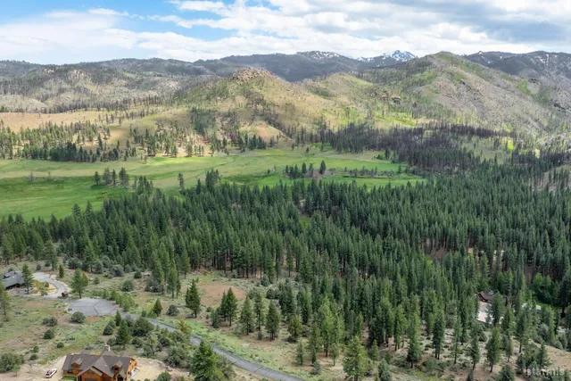 a view of a lush green hillside and mountains