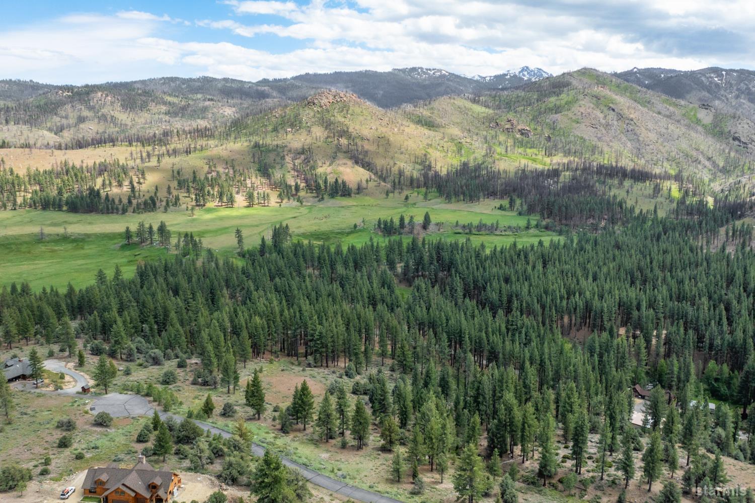 17 Raymond View Road Markleeville, CA 96120 - Photo 2 of 5 a view of a lush green hillside and mountains