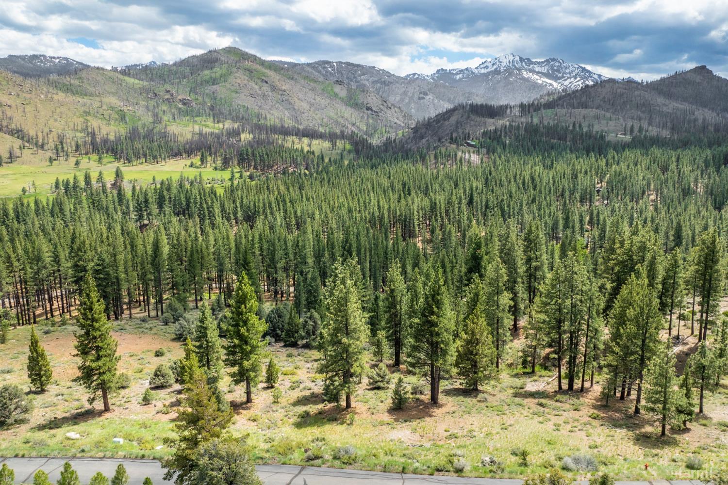 17 Raymond View Road Markleeville, CA 96120 - Photo 4 of 5 a view of a yard with a tree