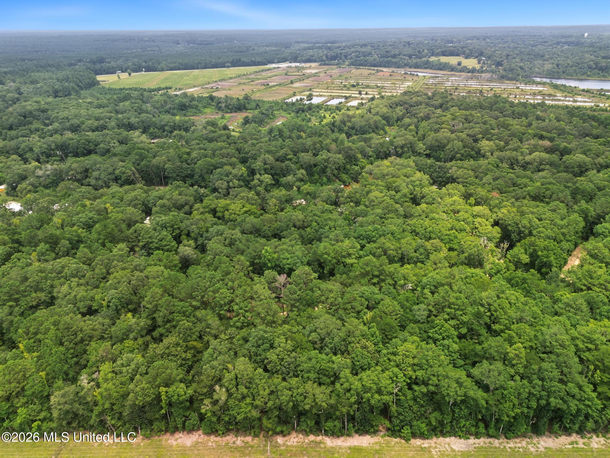 Shep Batson Road Wiggins, MS 39577 - Photo 12 of 13 DJI_0069