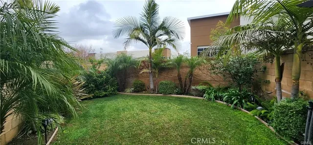 a view of a yard with a palm tree