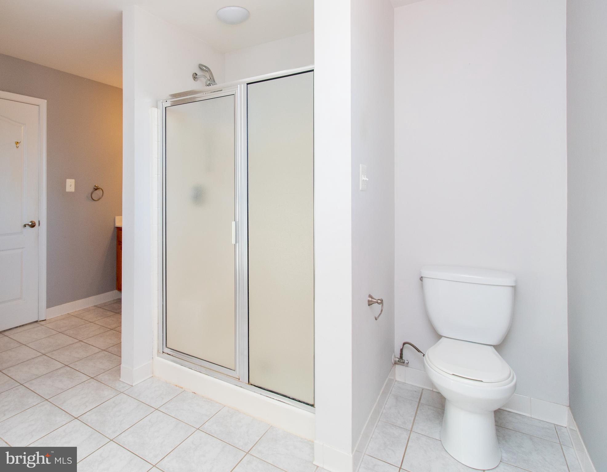 29169 Thompson Corner Road Charlotte Hall, MD 20622 - Photo 22 of 31 Primary Bath