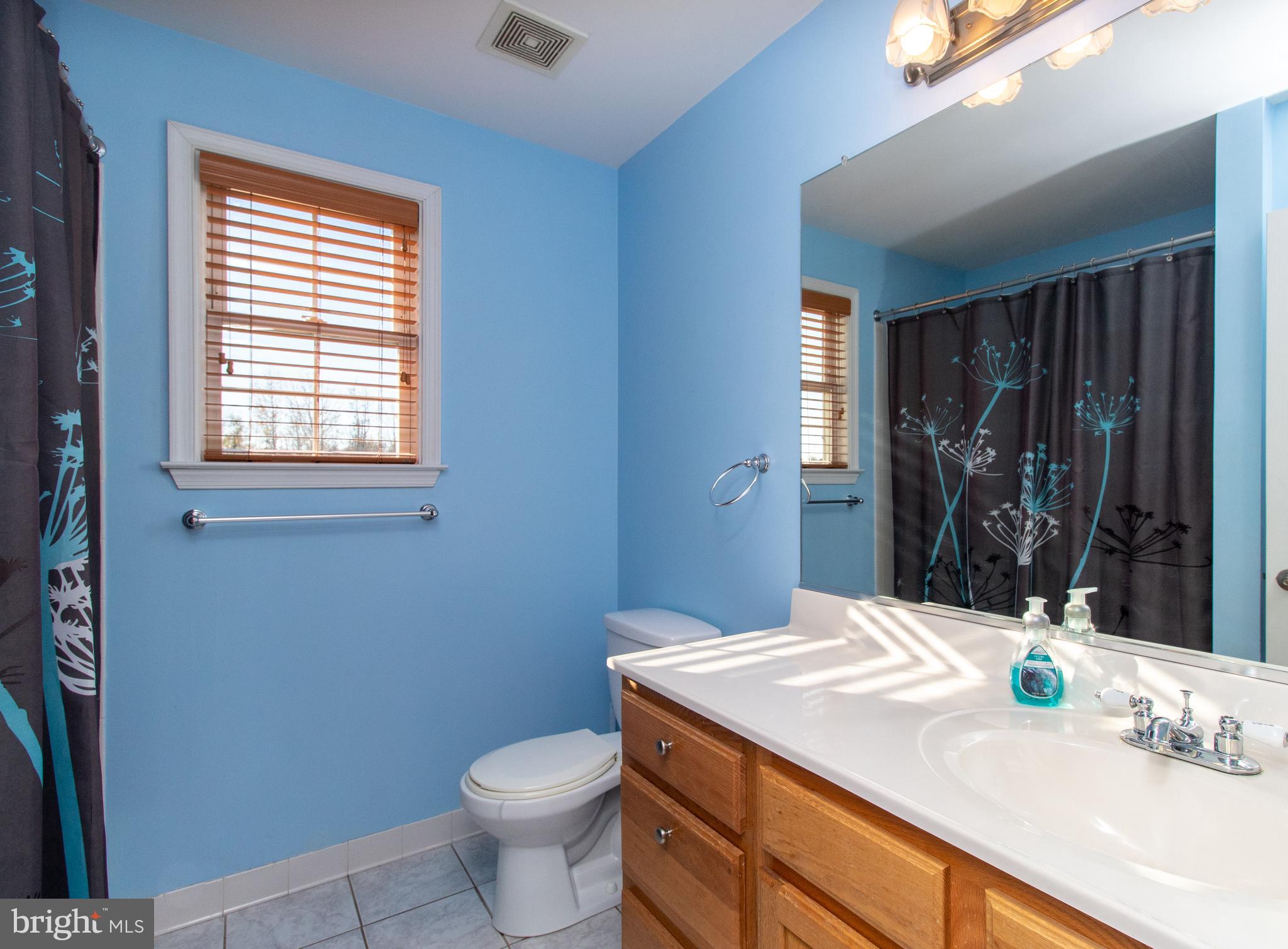 29169 Thompson Corner Road Charlotte Hall, MD 20622 - Photo 27 of 31 Upstairs Full Bath